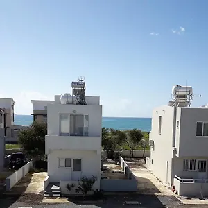 Sandy Complex Periwolia